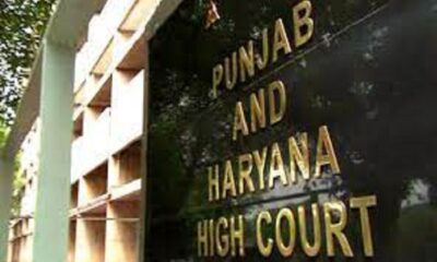 Punjab High Court shocked by allotment of liquor contracts