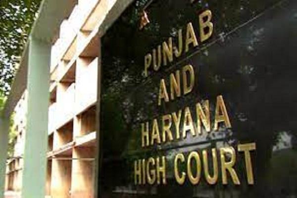 Punjab High Court shocked by allotment of liquor contracts