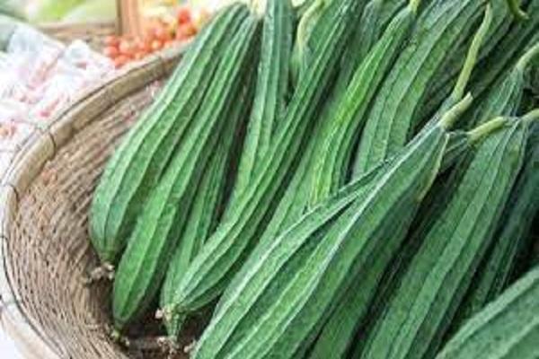 There are many health benefits to adding zucchini to your diet