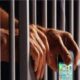 Mobile phones not found in Ludhiana jail, 29 phones recovered from 9 inmates