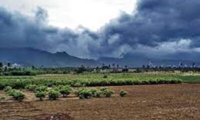 Monsoon to hit Punjab soon, read latest Meteorological Department update