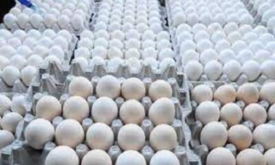 Egg prices soared by Rs 87 per 100 even in summer