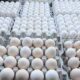 Egg prices soared by Rs 87 per 100 even in summer