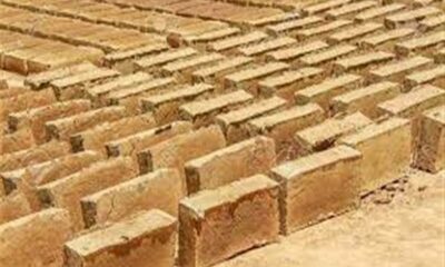 Straw will no longer be useless, bricks will be ready, the solution to the problem of burning straw has been found