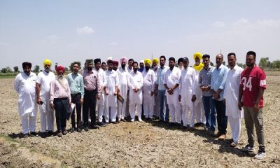 Chief Agriculture Officer visits direct sown paddy fields in Sidhwan Bet Block