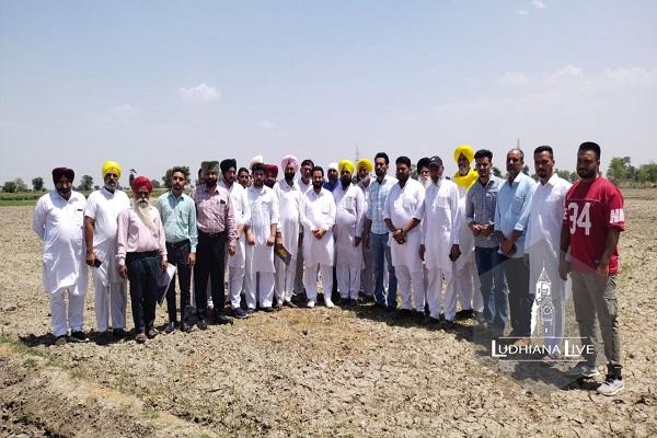 Chief Agriculture Officer visits direct sown paddy fields in Sidhwan Bet Block