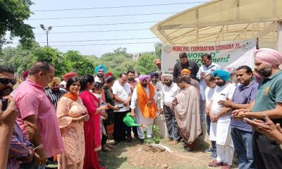 MLA Bhola launches planting drive in eastern constituency