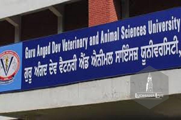 Veterinary University conducts national level training through online medium