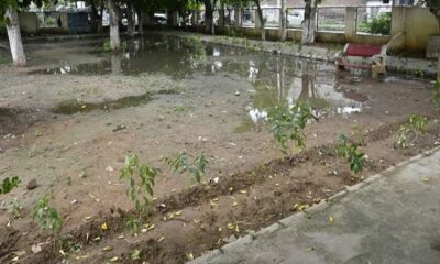 Now children will be educated in a green environment at Chatar Singh Park