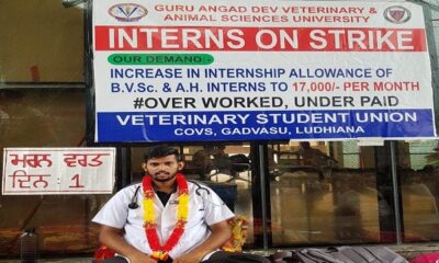 Students started fast to death for increase in internship in Gadvasu, the protest continued on the fourth day