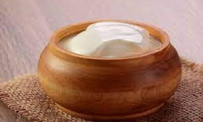 Do you know the right way to eat curd in rainy season? Read this news to know