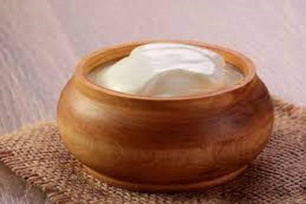 Do you know the right way to eat curd in rainy season? Read this news to know