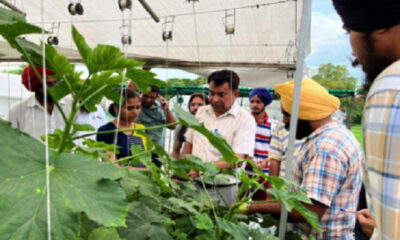 Conducted training course on vegetable cultivation