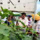 Conducted training course on vegetable cultivation