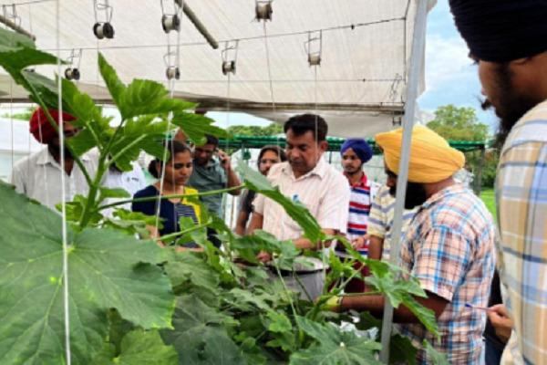 Conducted training course on vegetable cultivation