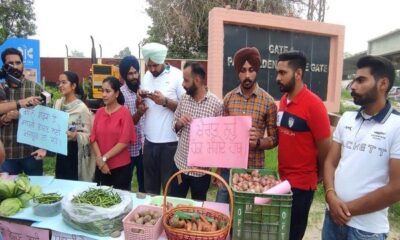 PAU students staged a unique display, selling vegetables outside gate number one