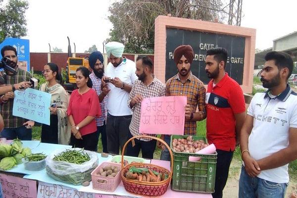 PAU students staged a unique display, selling vegetables outside gate number one