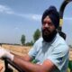 This MLA from Punjab gave an example by direct sowing of paddy
