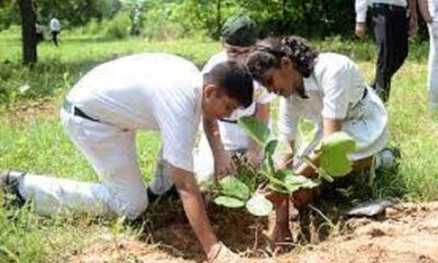 Environmental Conservation Tree Planting Campaign at International Public Schools