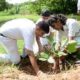 Environmental Conservation Tree Planting Campaign at International Public Schools