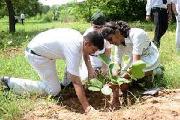 Environmental Conservation Tree Planting Campaign at International Public Schools