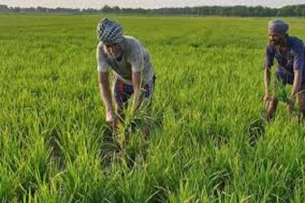 NABARD conducted training programs to promote the 'wet method'