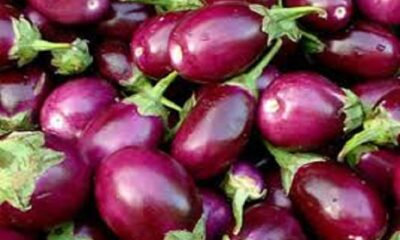 Vegetables To Avoid During Monsoon