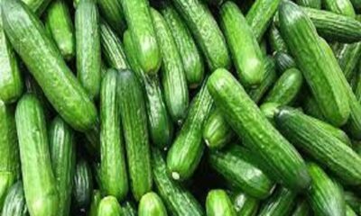 Add cucumber to the diet, add countless benefits