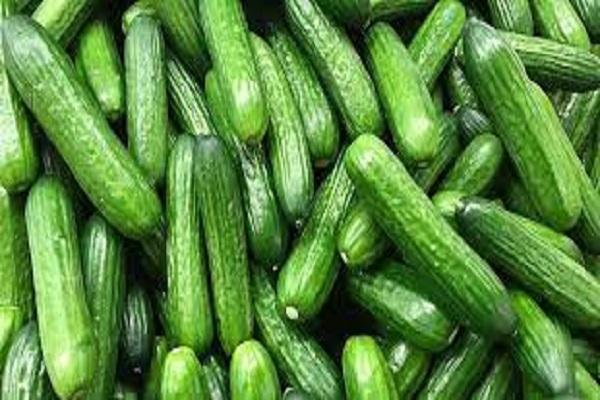 Add cucumber to the diet, add countless benefits