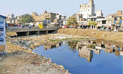 Action will be taken against dairies polluting Sutlej river in Ludhiana, first challan, then seal