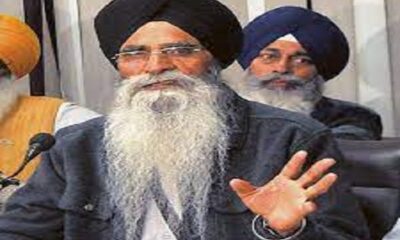 The SGPC's major decision to protect the environment is to plant forests on land adjacent to gurdwaras
