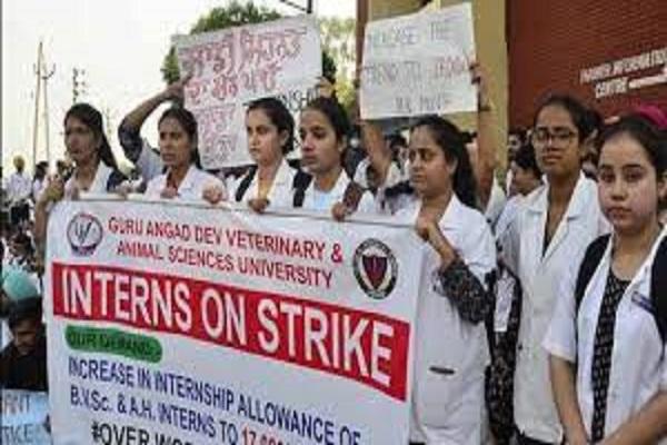 Animal Hospital OPD Students start struggling by shutting down indefinitely