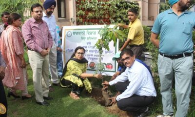 Invoking the protection of the environment, the launch of a campaign to plant fruit trees