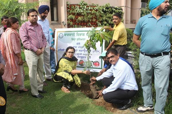 Invoking the protection of the environment, the launch of a campaign to plant fruit trees