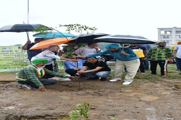 2080 saplings planted to develop eco-friendly highway - Amit Kumar Panchal