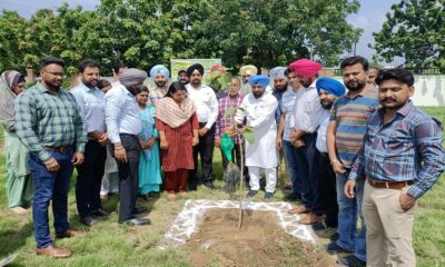 Plants planted by MLA Bhola in Eastern Constituency under the Punjab Green Campaign