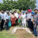 Plants planted by MLA Bhola in Eastern Constituency under the Punjab Green Campaign