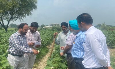 The PAU team surveyed the Narme fields