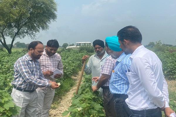 The PAU team surveyed the Narme fields