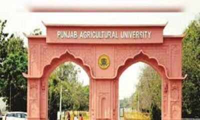 P.A.U. Organizes webinar on vegetable cultivation during monsoon season