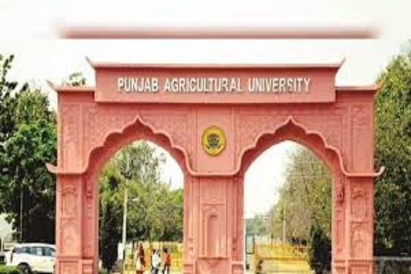 P.A.U. Organizes webinar on vegetable cultivation during monsoon season