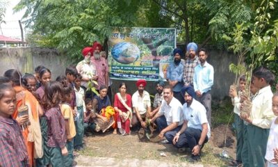 Shaheed Bhagat Singh Green Movement organization planted saplings in the school