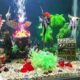 A special attraction is the aquarium with fishes hand-crafted by the students