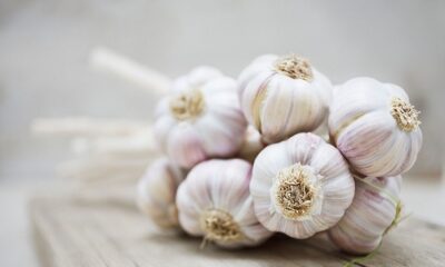 Eat raw or drink the juice, garlic has these benefits for the body