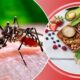 Dengue health care foods