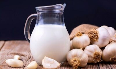 Garlic milk health benefits