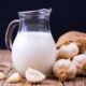 Garlic milk health benefits