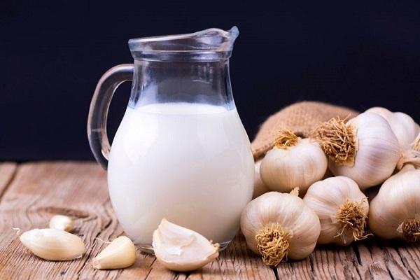 Garlic milk health benefits