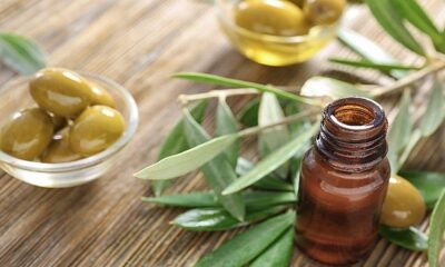 olive leaves will control sugar