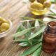 olive leaves will control sugar